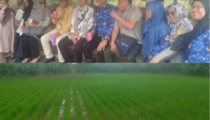Kepala Dinas Pertanian Kabupaten PALI Bersama Tenaga Ahli Kementerian Pertanian Tinjau Lokasi Persawahan