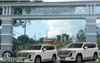 Ketua Satgasus Garda Prabowo DKD Sumsel Soroti Mobil Dinas Di Pemkab PALI