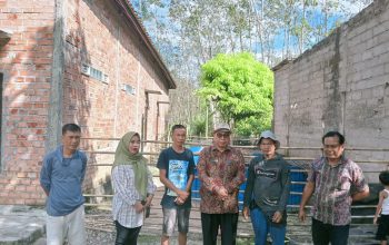 Kelompok Budidaya Ikan Binaan Dinas Perikan Kabupaten PALI Panen Lele 6 Kolam