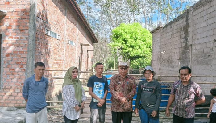 Kelompok Budidaya Ikan Binaan Dinas Perikan Kabupaten PALI Panen Lele 6 Kolam