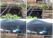 Bangunan liar Warung Mie Aceh Patumbak Jaya Berdiri Tanpa Kantongi Izin Dari Dinas Terkait