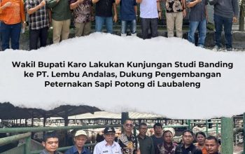 Wakil Bupati Karo Studi Banding ke PT. Lembu Andalas Dukung Pengembangan Peternakan Sapi Potong di Laubaleng