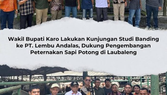 Wakil Bupati Karo Studi Banding ke PT. Lembu Andalas Dukung Pengembangan Peternakan Sapi Potong di Laubaleng