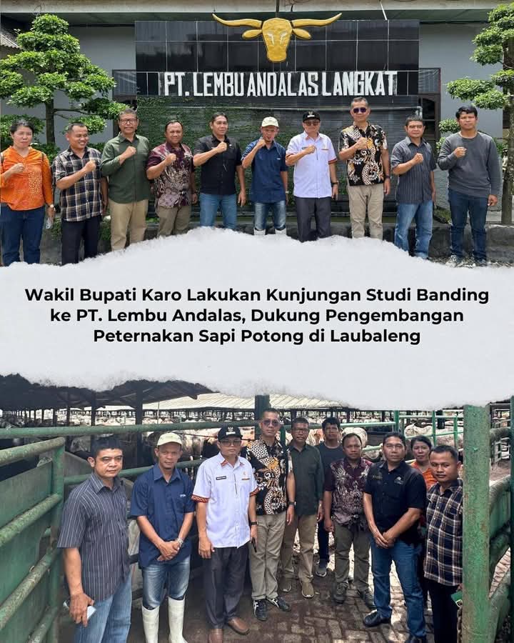 Wakil Bupati Karo Studi Banding ke PT. Lembu Andalas Dukung Pengembangan Peternakan Sapi Potong di Laubaleng