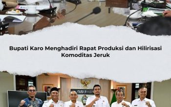 Bupati Karo Temui Gubsu Bahas intervensi lalat buah dan Branding Jeruk Karo