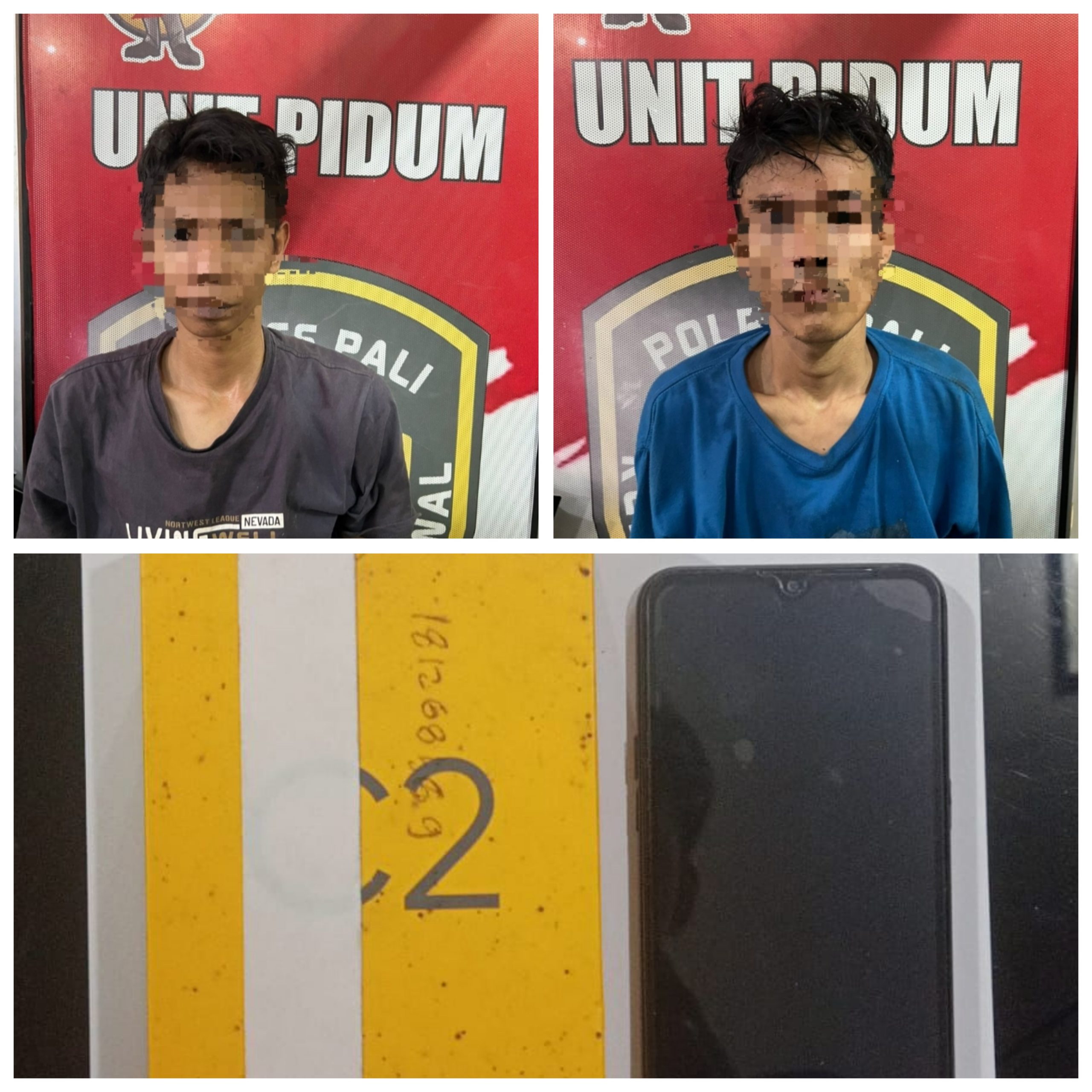 Sat Reskrim Polres PALI Berhasil Meringkus 2 Orang Yang Diduga Mencuri Handphone