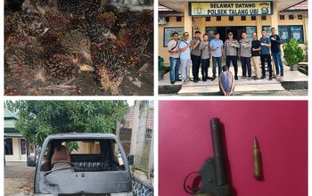 Tim Elang Polsek Talang Ubi Berhasil Ringkus DPO Pencuri Buah Kelapa Sawit Dan Menyimpan Senpi Ilegal