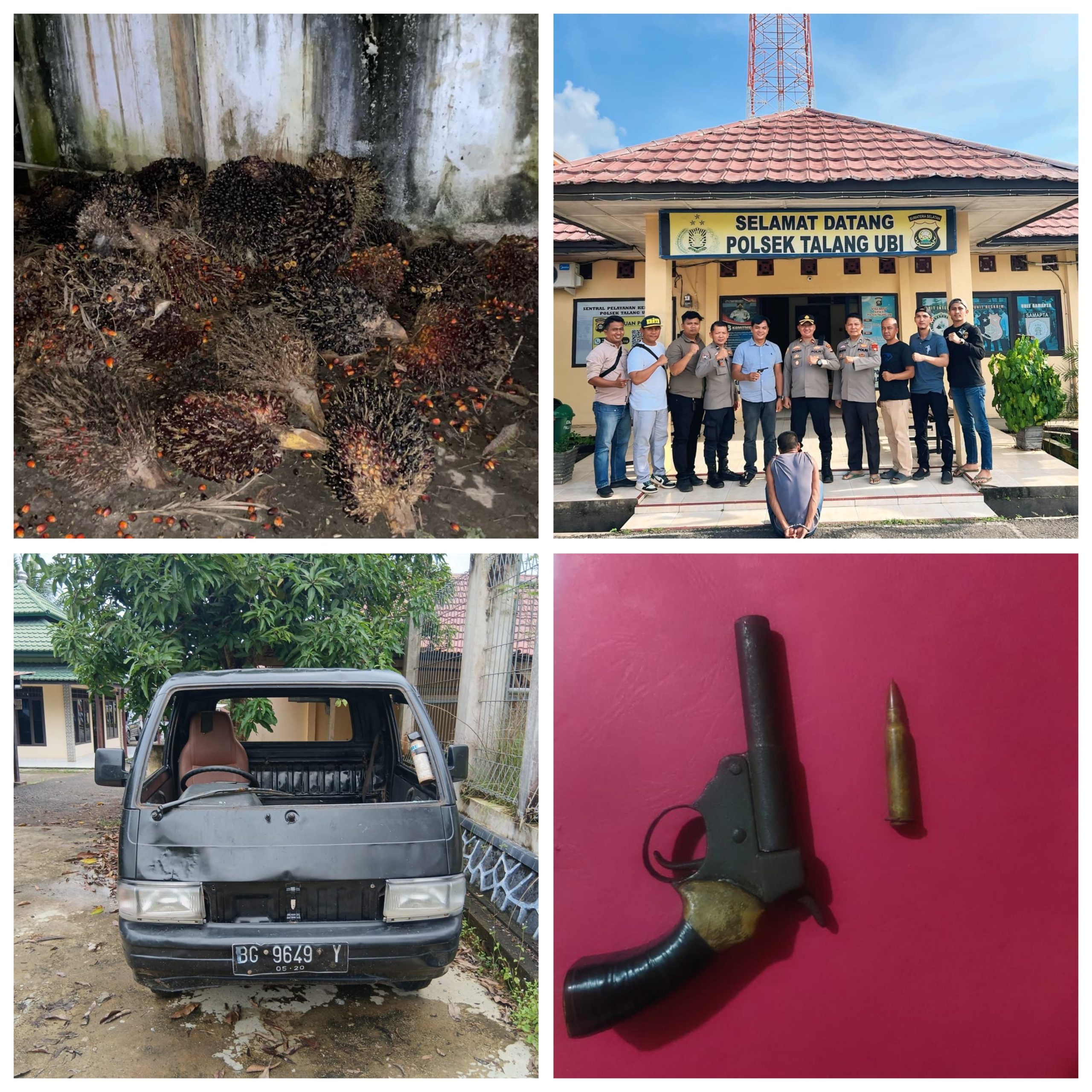 Tim Elang Polsek Talang Ubi Berhasil Ringkus DPO Pencuri Buah Kelapa Sawit Dan Menyimpan Senpi Ilegal