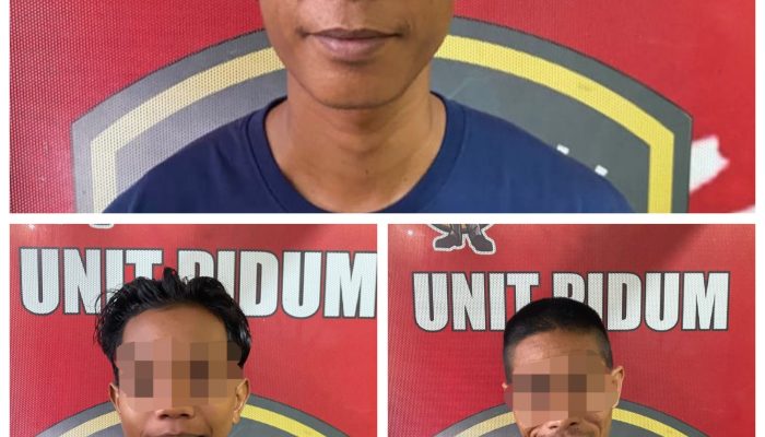 Polres PALI Bekuk Komplotan Pencuri Sawit, Dua Ton Raib dari Kebun Warga