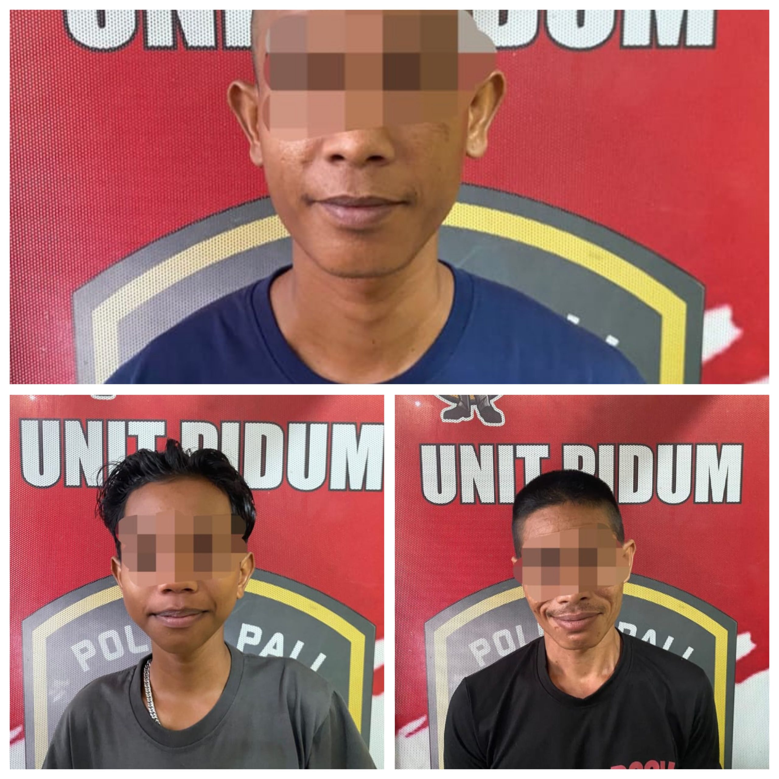 Polres PALI Bekuk Komplotan Pencuri Sawit, Dua Ton Raib dari Kebun Warga