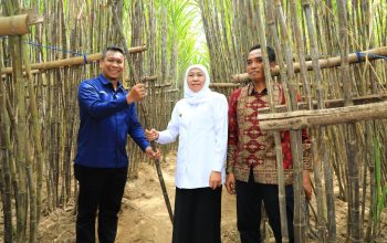 Gubernur Khofifah Luncurkan KUR Khusus Petani Tebu Jatim, Optimis Wujudkan  Percepatan Swasembada Gula Nasional