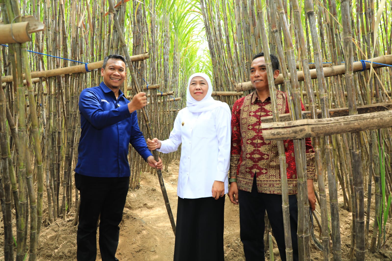 Gubernur Khofifah Luncurkan KUR Khusus Petani Tebu Jatim, Optimis Wujudkan  Percepatan Swasembada Gula Nasional
