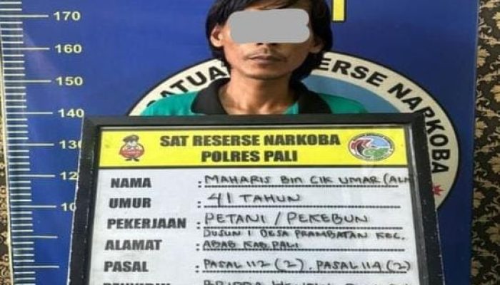 Satresnarkoba Polres PALI Tangkap Pengedar Sabu di Desa Prambatan, Amankan 24,72 Gram Barang Bukti