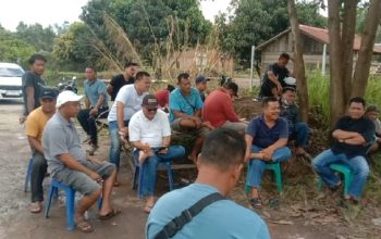 Buntut Penundaan Surplus 2024, Petani Plasma PT GBS Hentikan Operasional Angkutan