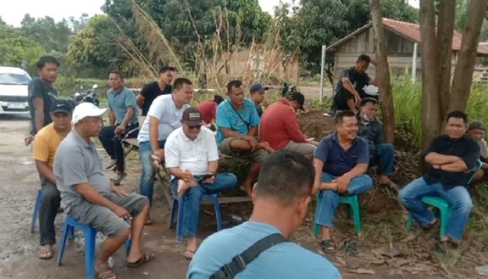 Buntut Penundaan Surplus 2024, Petani Plasma PT GBS Hentikan Operasional Angkutan