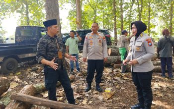 AKBP Widya Kasubdit Polsus Polda Jatim Pelajari Sistem Lacak Balak Di Perum Perhutani KPH Bondowoso 