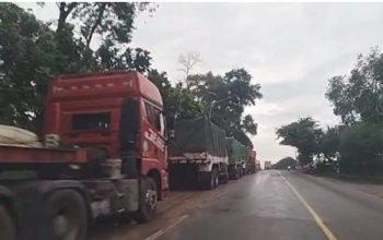 Diduga PT.Arwana Tidak Sediakan Kantong Parkir, Akibatnya Mobil Trailer Pengangkut Bahan Baku Parkir di Bahu Jalan