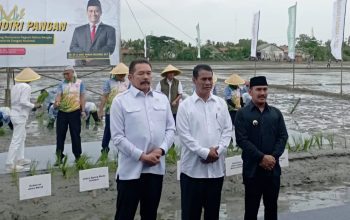 Jaksa Mandiri Pangan Hadir di Tambun Utara, Dorong Ketahanan Pangan Lewat Aset Negara