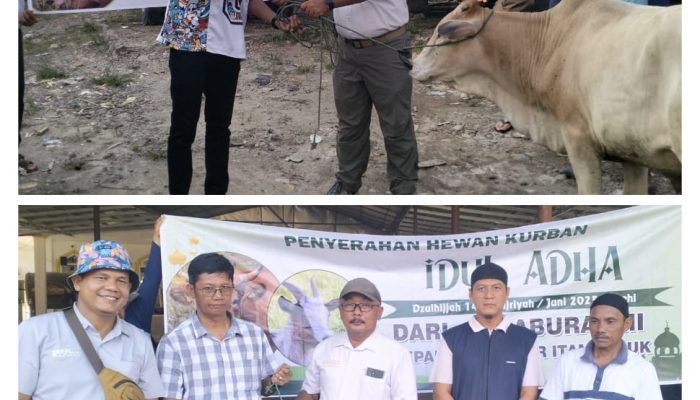Sebagai Bentuk Kepedulian PT Aburahmi Serahkan Hewan Kurban Ke Desa Air Itam dan Desa Air Itam Timur