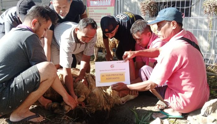 RSDK Bondowoso Kurban 14 Ekor Kambing