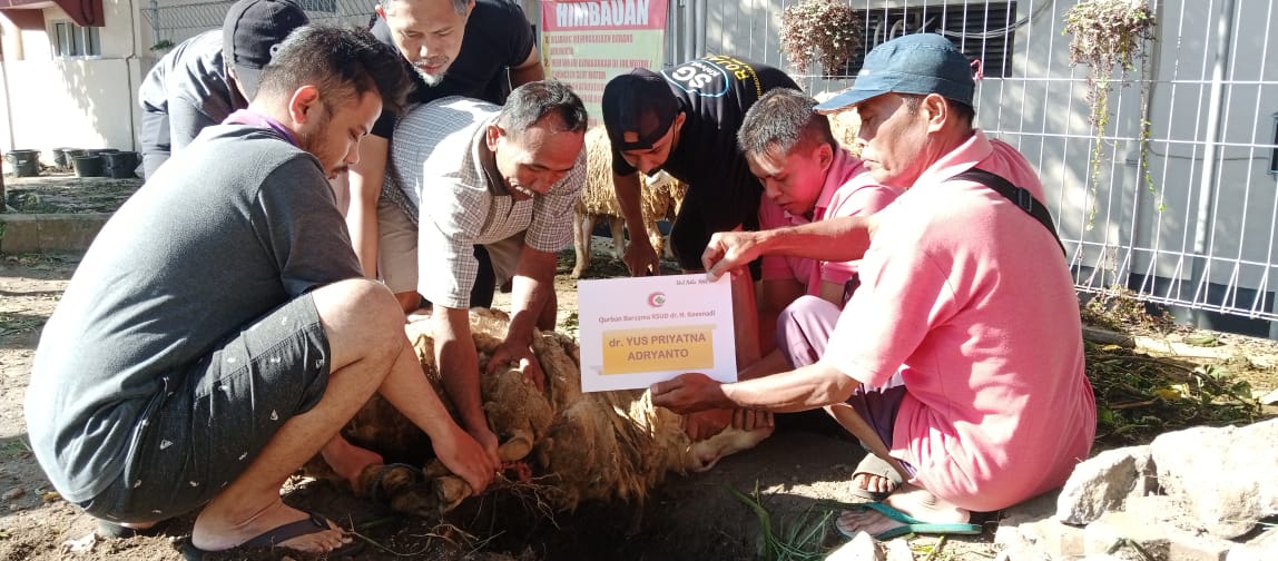 RSDK Bondowoso Kurban 14 Ekor Kambing