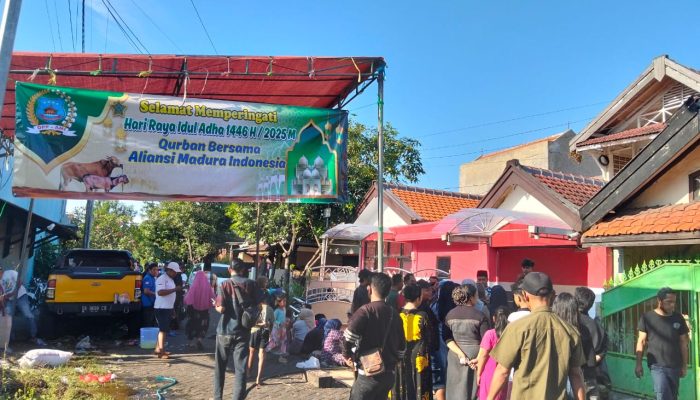 Iduladha 1446 H, AMI Laksanakan Qurban dan Bagikan Ratusan Paket Daging