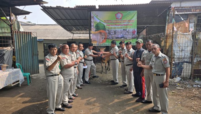 Ketum DPP GPJ Serahkan 3 Ekor Sapi Kepada Ketua Panitia Qurban Idul Adha 1446H/ 2025M Untuk di Sembelih