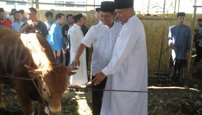 25 Ribu Orang Datangi Ponpes Al Islah Bondowoso, Tukar Kupon Dengan Daging Kurban