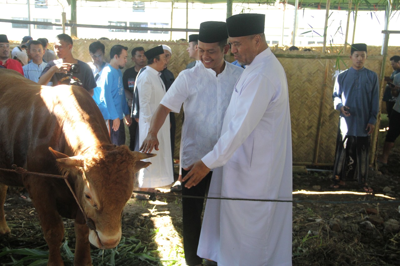 25 Ribu Orang Datangi Ponpes Al Islah Bondowoso, Tukar Kupon Dengan Daging Kurban
