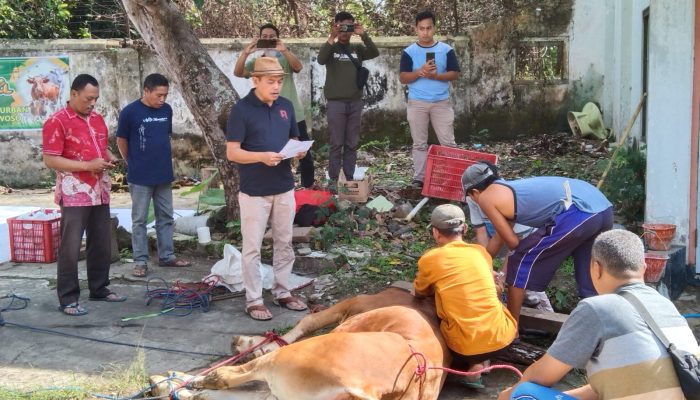 Sambut Idul Adha 1446 H / 2025 M, Perum Perhutani KPH Bondowoso Bagikan Daging Kurban 