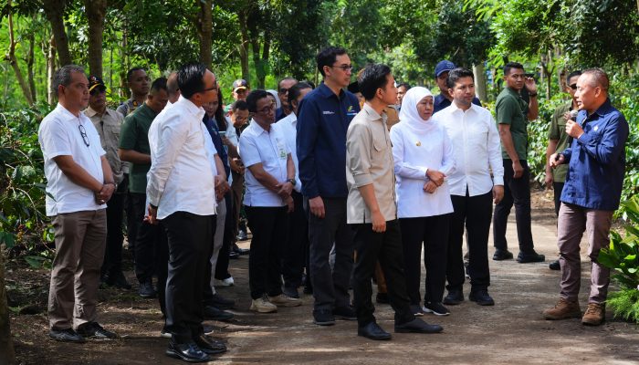 Angkat Potensi Kopi Indonesia Wapres Gibran Kunjungi PMO Kopi Perhutani DI Bondowoso