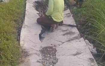 Setelah Viral, Jalan Rusak di Karangsari Langsung Diperbaiki, Warga Pertanyakan Dana Desa