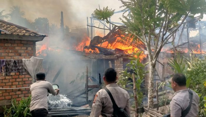 Korsleting Listrik Diduga Jadi Penyebab Kebakaran Hebat di Desa Babat, Kerugian Capai Rp250 Juta