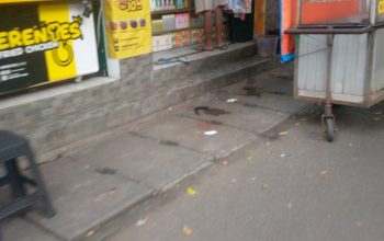 Belum Lama Digrebek, Toko Penjual Obat Tramadol Dekat Kantor Kelurahan Rawajati Kembali Buka Belum Lama Digrebek, Toko Penjual Obat Tramadol Dekat Kantor Kelurahan Rawajati Kembali Buka