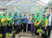 Pemberdayaan Perempuan di Bidang Pertanian: Ketua TP PKK Kabupaten Bekasi Kunjungi KWT Dahlia
