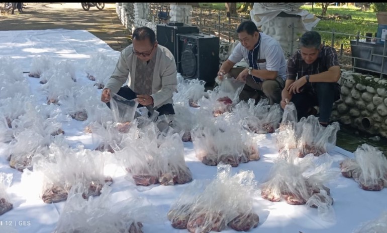 PG Pradjekan Bagikan 840 Bungkus Daging Kurban ke Masyarakat PG Pradjekan Bagikan 840 Bungkus Daging Kurban ke Masyarakat