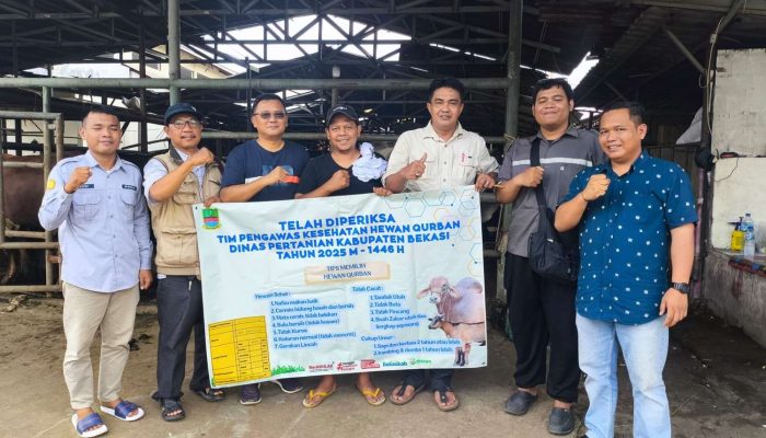 Pemkab Bekasi Terjukan 36 Petugas Medis Peketat Pengawasan Kesehatan Hewan Kurban Jelang Idul Adha