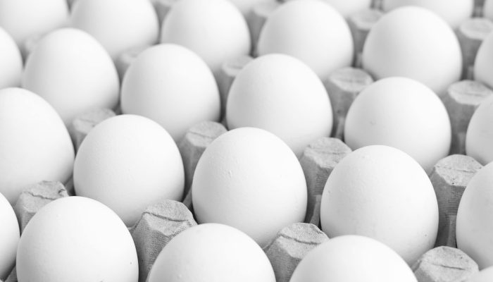 Hukum Makan Balut dalam Islam: Halal atau Haram? Begini Penjelasan Ulama…