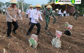 Wakil Bupati Lampung Utara Diwakili  Asisten I Hadiri Penanaman Jagung Serentak