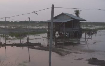 Banjir Kembali Landa Wilayah Bekasi, Petani Sawah dan Tambak Alami Kerugian Besar