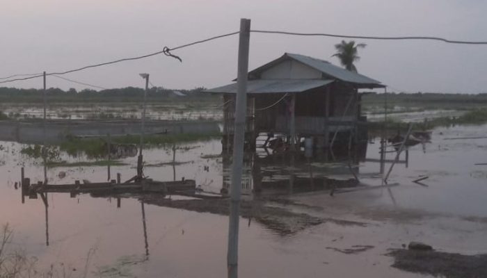 Banjir Kembali Landa Wilayah Bekasi, Petani Sawah dan Tambak Alami Kerugian Besar