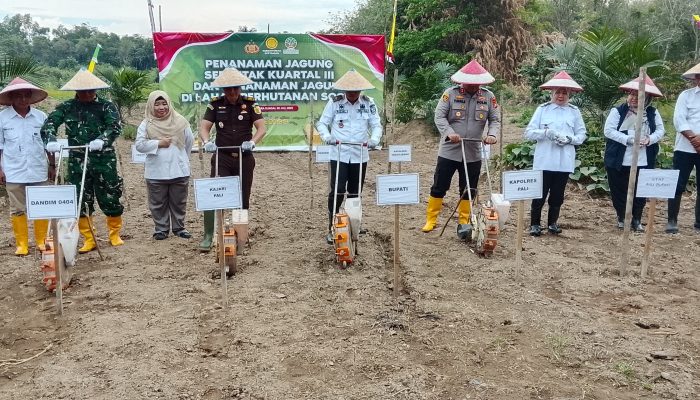 Polres PALI Dukung Ketahanan Pangan Nasional, Tanam Jagung Serentak di Lahan Perhutanan Sosial Tanah Abang