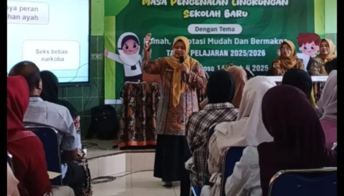 Peran Ayah Dalam Pola Asuh Anak, Parenting SMP Negeri 4