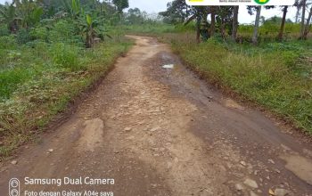 Jalan Lintas Desa Bojong Barat Rusak Parah, Warga Harapkan Perhatian Pemerintah