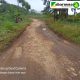 Jalan Lintas Desa Bojong Barat Rusak Parah, Warga Harapkan Perhatian Pemerintah