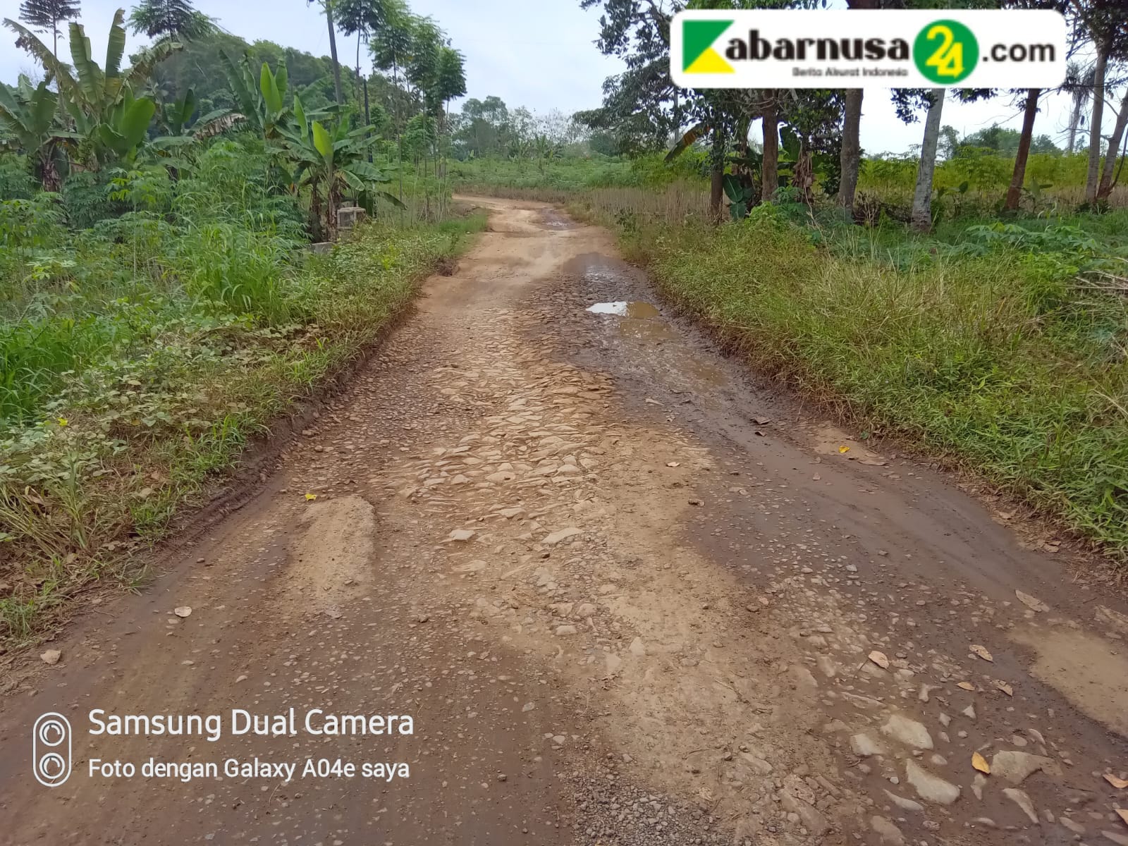 Jalan Lintas Desa Bojong Barat Rusak Parah, Warga Harapkan Perhatian Pemerintah