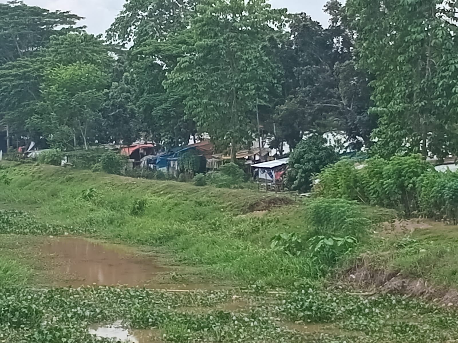 PKL JSC Terlihat Kumuh, Meina Fatriani Paloh: Hubungi Saja Bapak Nurman