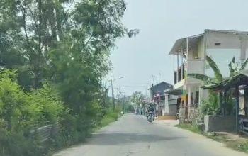 Dana Desa Ada, Jalan Kumuh, Rumput Pohon Liar dan Bangli Tetap Menjamur: Sorotan Pedas Mbah Goen untuk Labansari