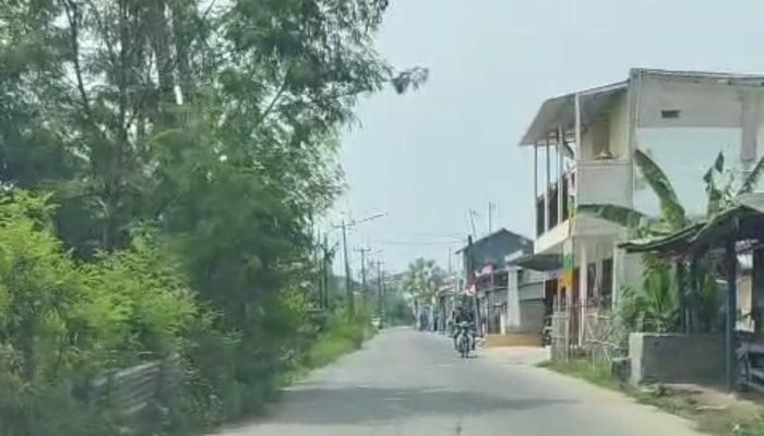 Dana Desa Ada, Jalan Kumuh, Rumput Pohon Liar dan Bangli Tetap Menjamur: Sorotan Pedas Mbah Goen untuk Labansari