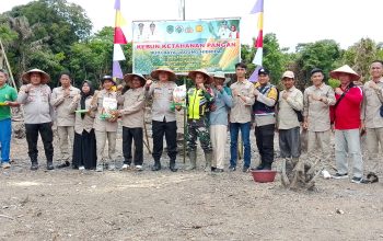 Dalam Rangka Menunjang Ketahanan Pangan Nasional Pemerintah Desa Tanjung Dalam Gelar Acara Tanam Jagung